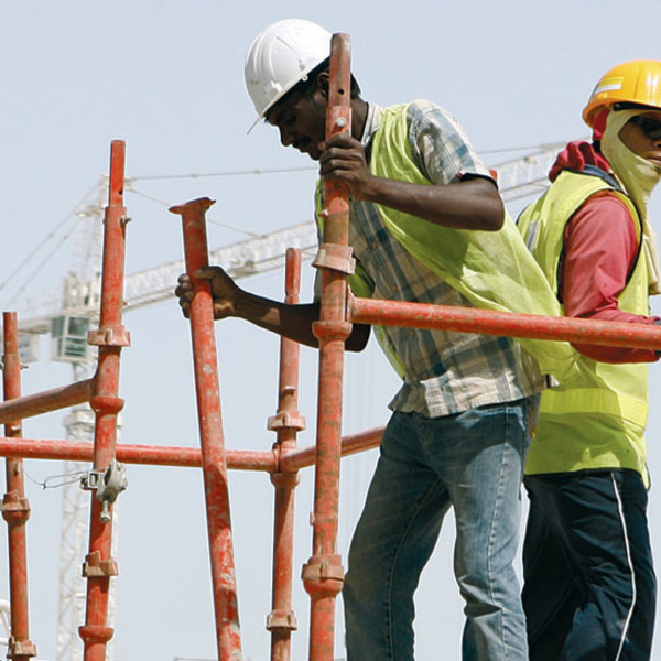 scaffold_web