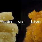 Concentrates Sourcing: Rosin vs Resin for Brands