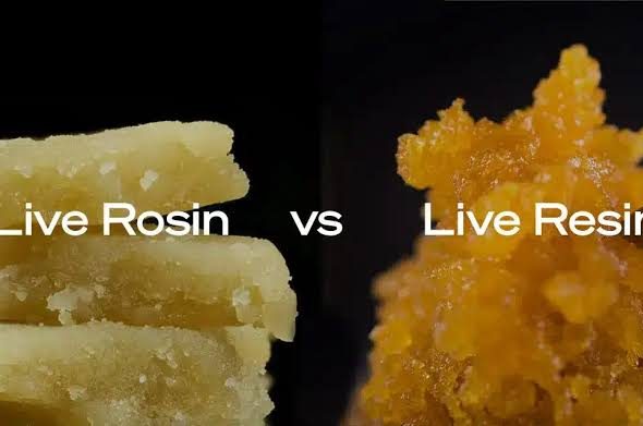 Concentrates Sourcing: Rosin vs Resin for Brands