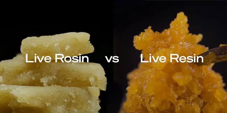 Concentrates Sourcing: Rosin vs Resin for Brands