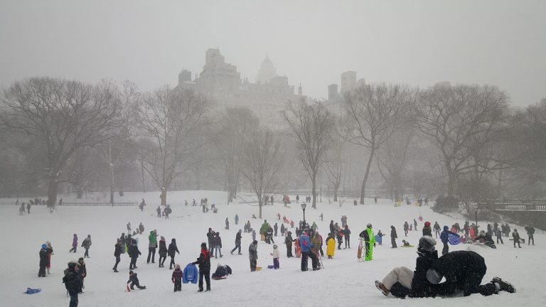 Snow, central park, new york — Best Medicare Advantage Plans for Your Needs in 2026