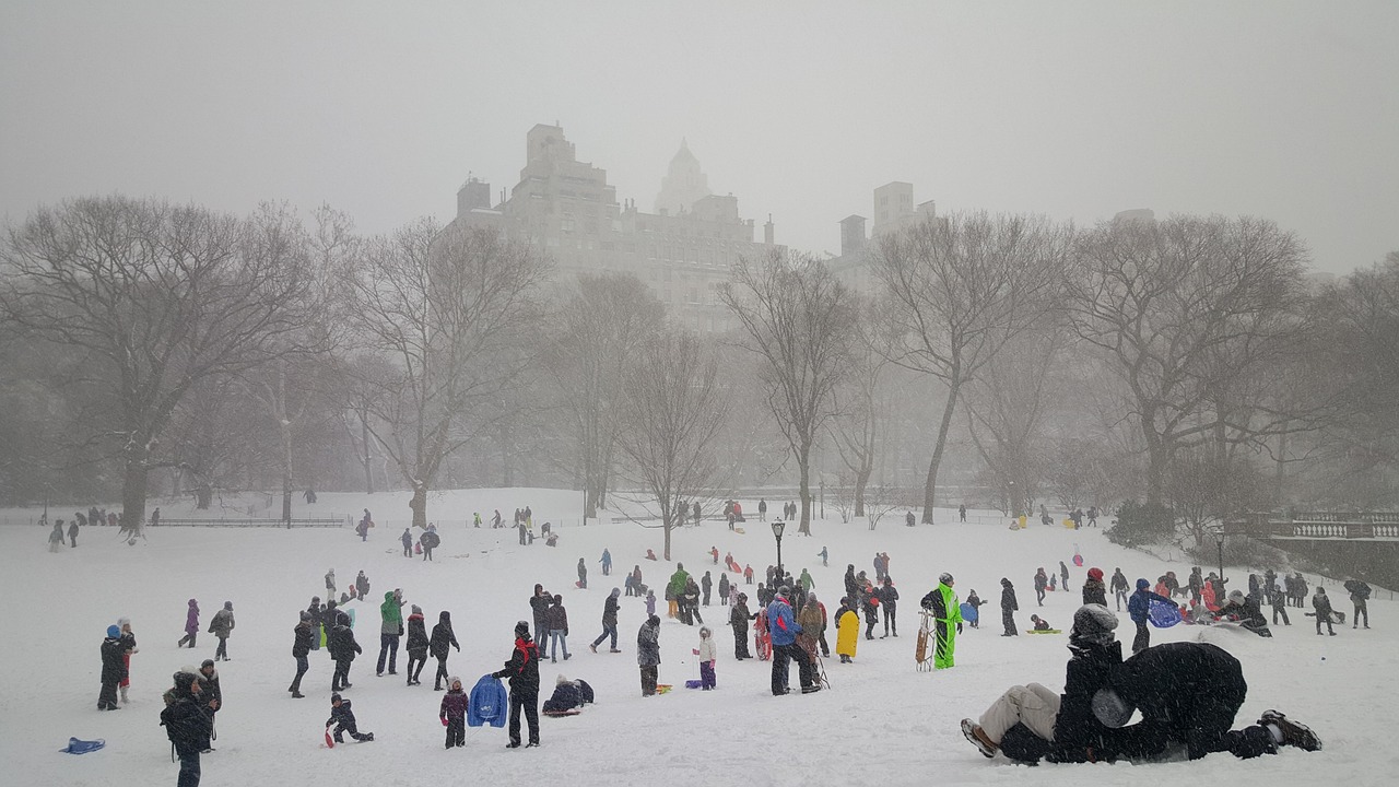 Snow, central park, new york — Best Medicare Advantage Plans for Your Needs in 2026
