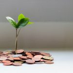 A small plant growing from a pile of coins on a flat surface