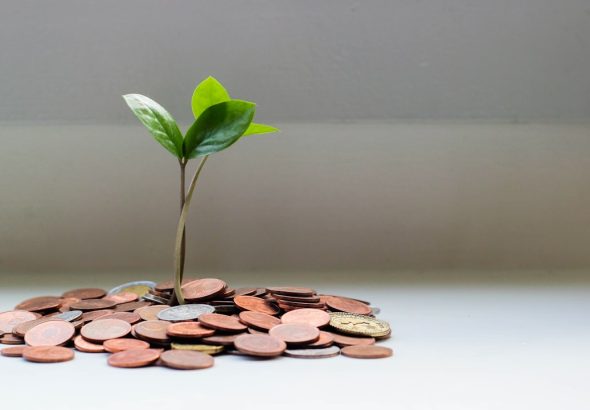 A small plant growing from a pile of coins on a flat surface