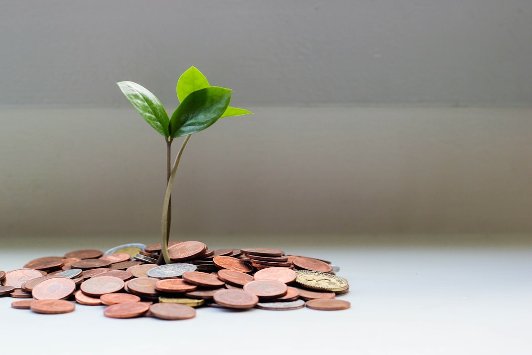 A small plant growing from a pile of coins on a flat surface